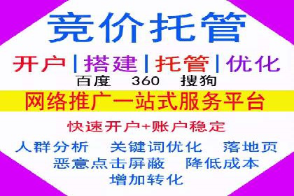 行业领先企业的SEM竞价代运营案例解析